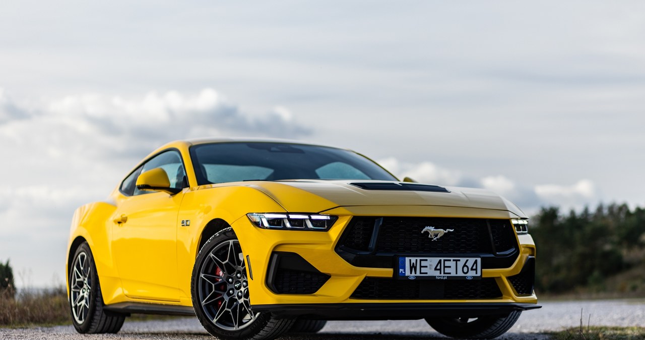 Ford Mustang GT /Michał Jaroń /INTERIA.PL