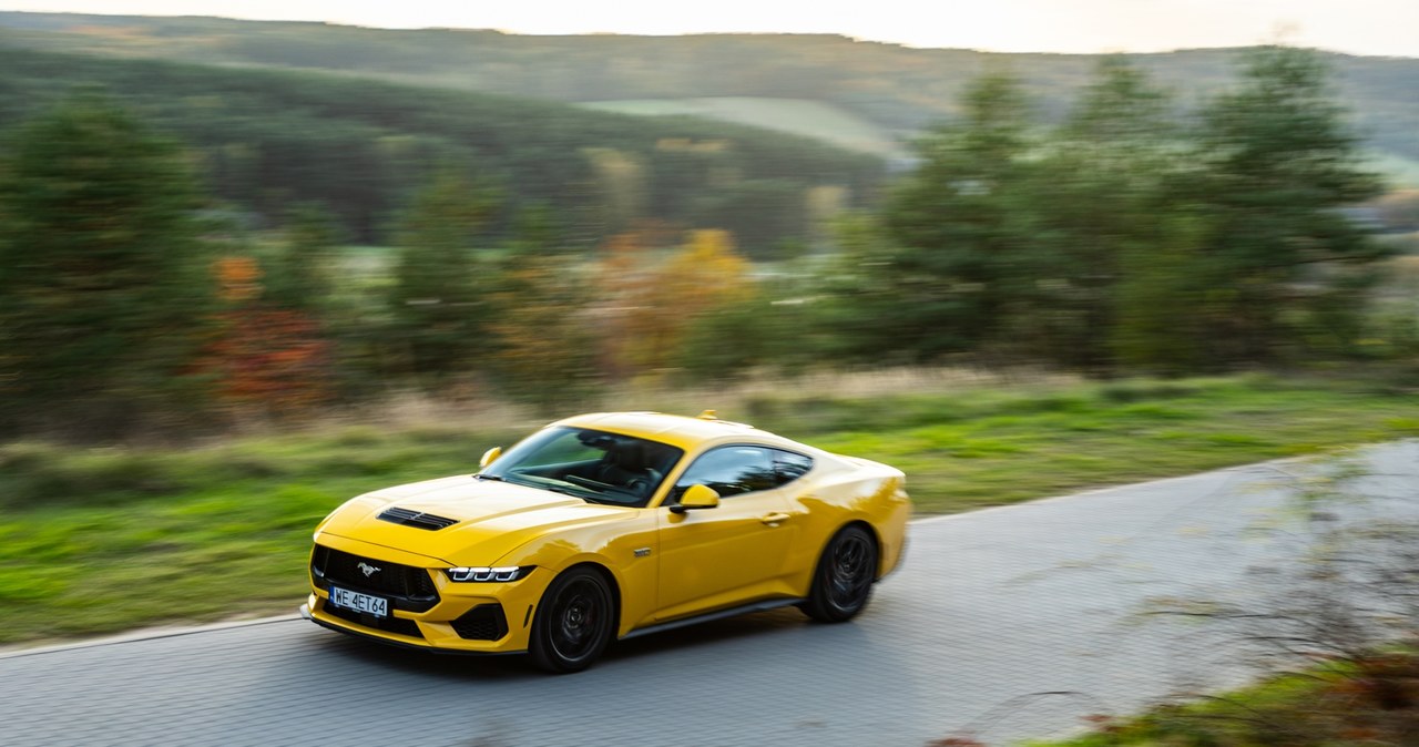 Ford Mustang GT /Michał Jaroń /INTERIA.PL