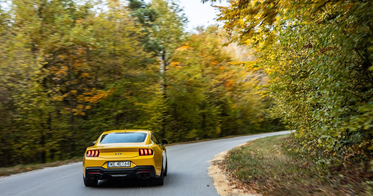 Ford Mustang GT /Michał Jaroń /INTERIA.PL