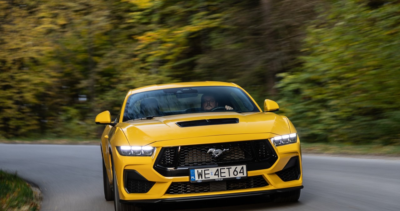 Ford Mustang GT /Michał Jaroń /INTERIA.PL