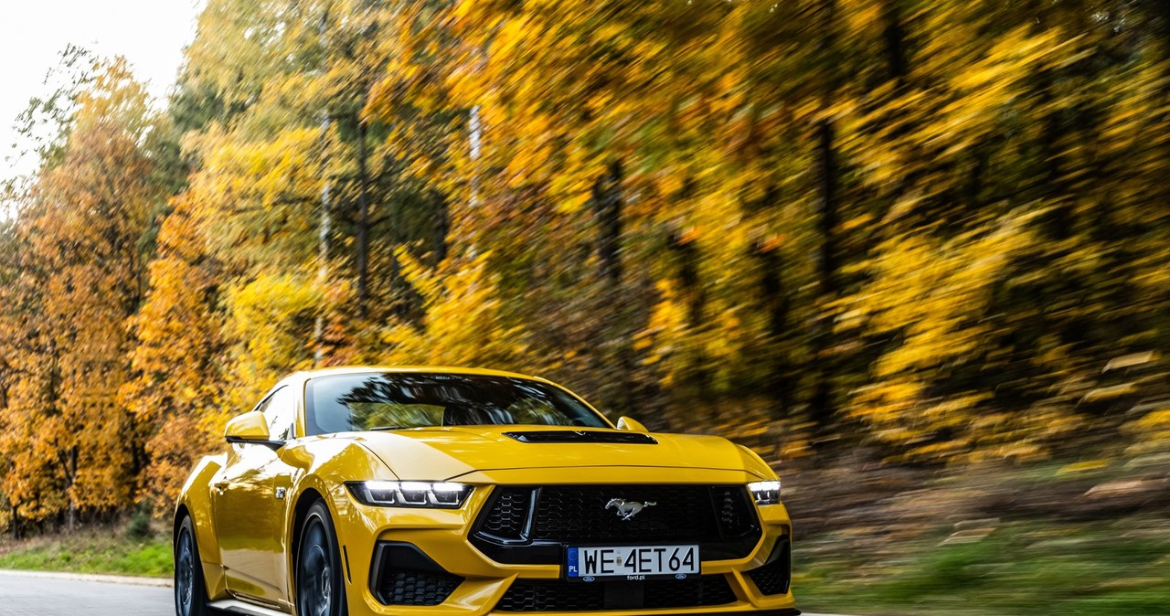 Ford Mustang GT /Michał Jaroń /INTERIA.PL