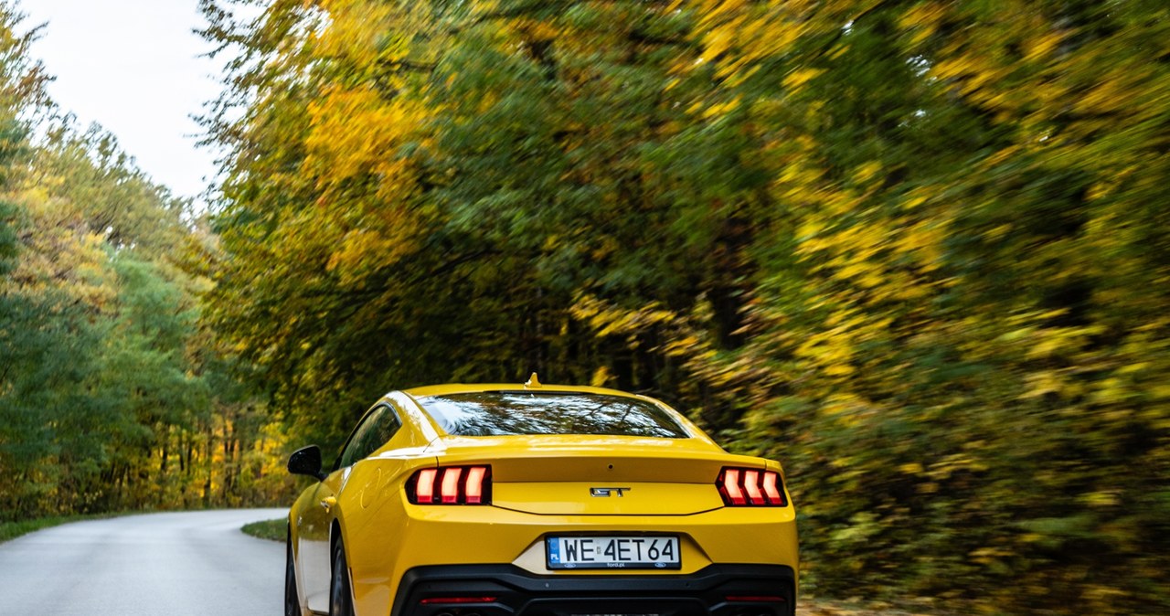 Ford Mustang GT /Michał Jaroń /INTERIA.PL