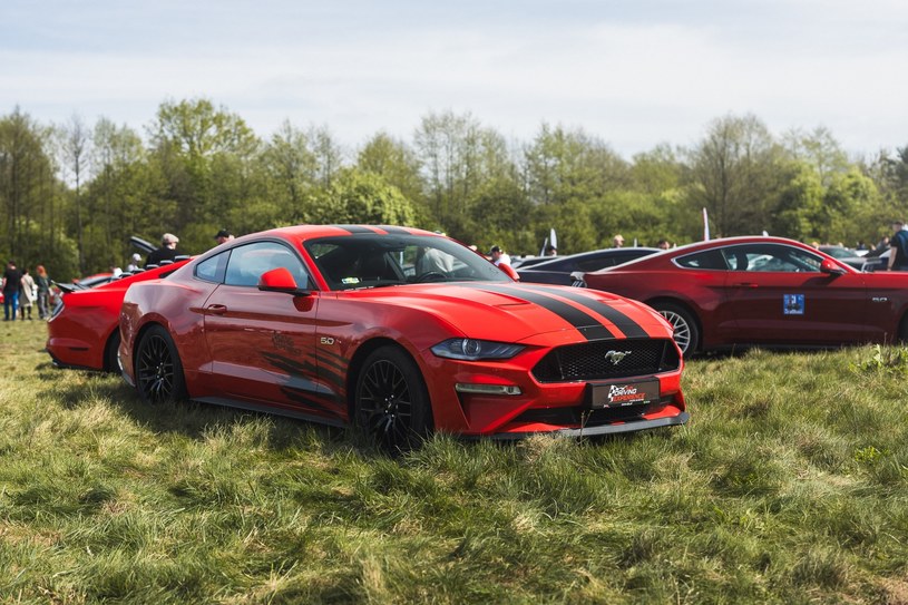 Ford Mustang jest najlepiej sprzedającym się sportowym samochodem na świecie od ponad 10 lat. /materiały prasowe