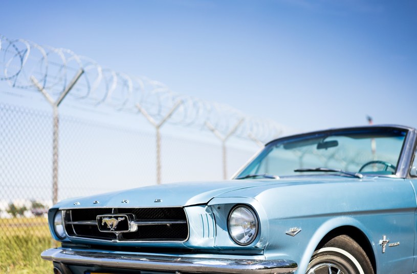 Ford Mustang, który trafi pod młotek wyposażony jest w potężny silnik V8 /materiały prasowe