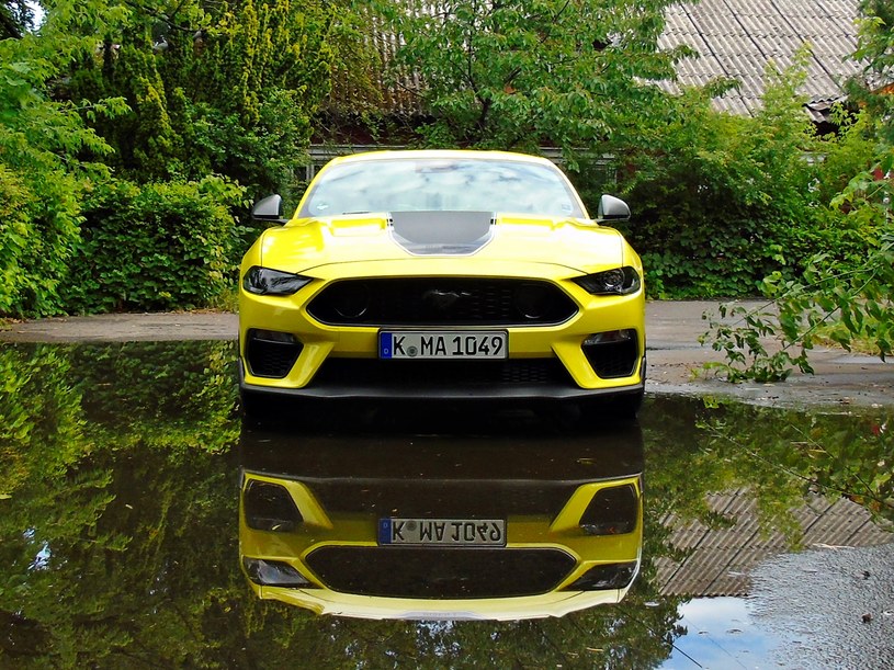 Ford Mustang Mach 1 /INTERIA.PL