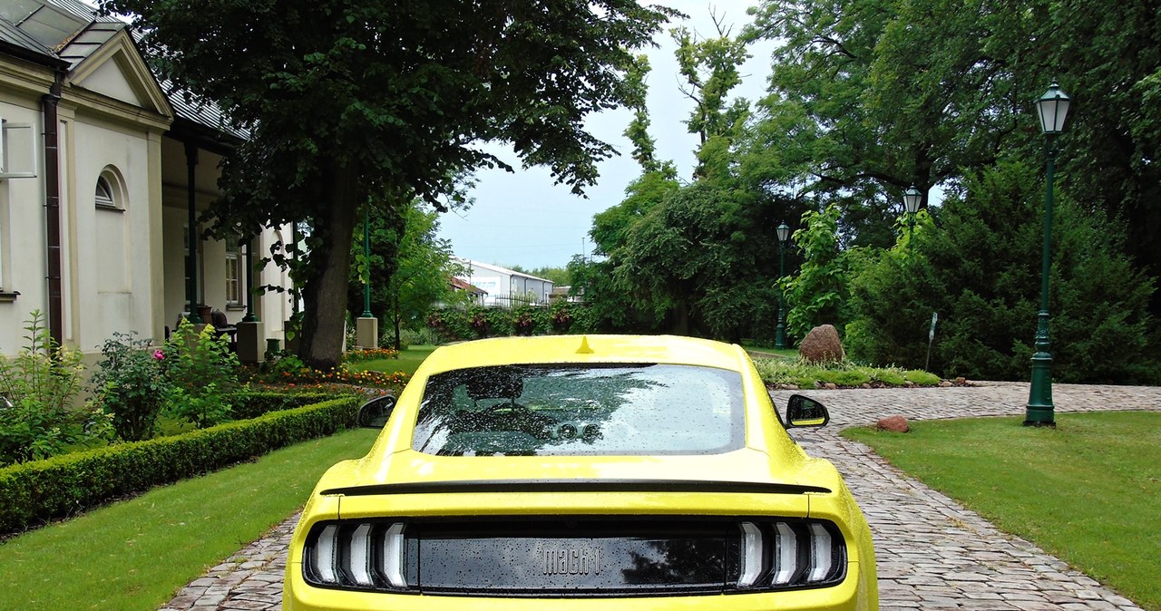 Ford Mustang Mach 1 /INTERIA.PL