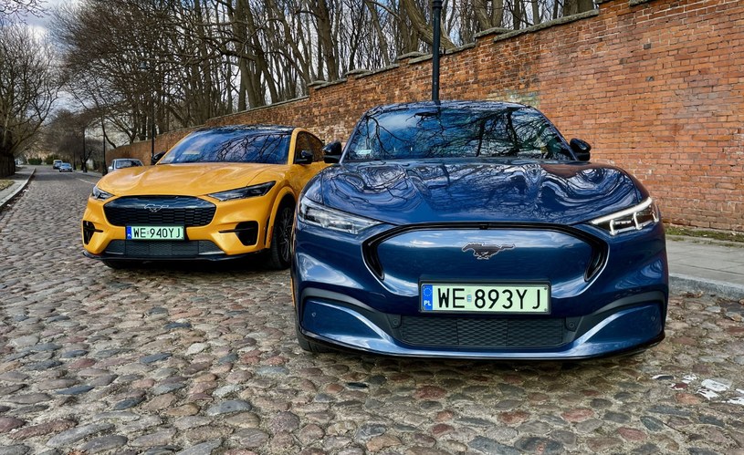 Ford Mustang Mach-E GT oraz Mach-E AWD /Marek Wicher    /INTERIA.PL