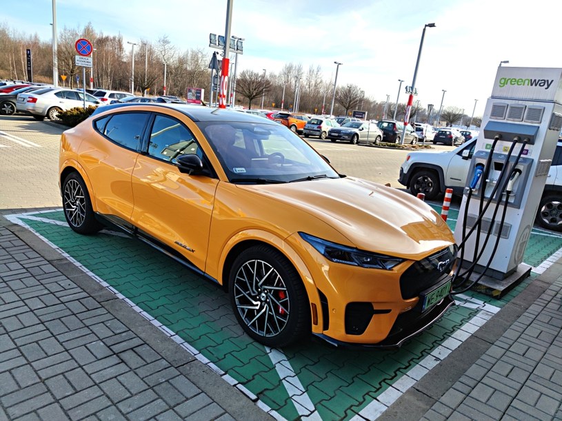 Ford Mustang Mach-E GT – sprawdzamy zasięg w trasie /Krzysztof Mocek /INTERIA.PL