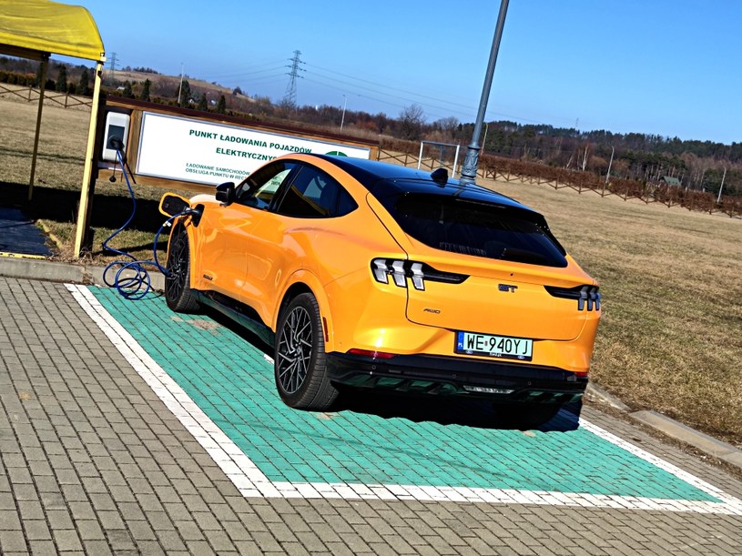 Ford Mustang Mach-E GT – sprawdzamy zasięg w trasie /Krzysztof Mocek /INTERIA.PL
