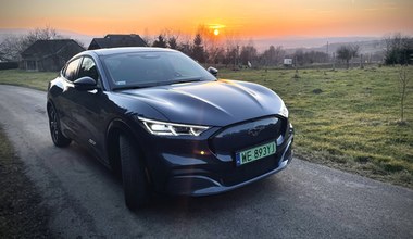 Ford Mustang Mach-E – piękny i dziki