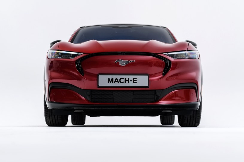 Ford Mustang Mach-E /Informacja prasowa