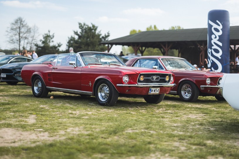 Ford Mustang świętuje 60 lat. Rekordowa impreza w historii Polski