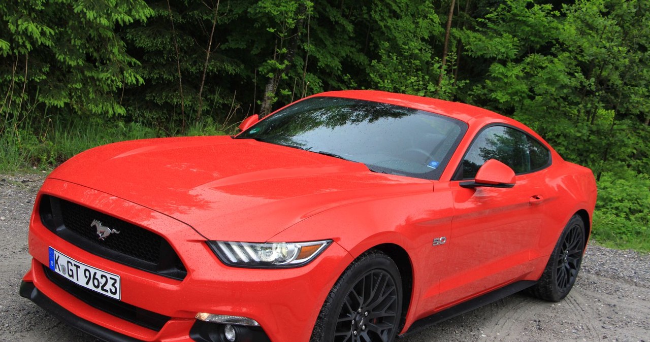 Ford Mustang /Michał Domański /magazynauto.pl