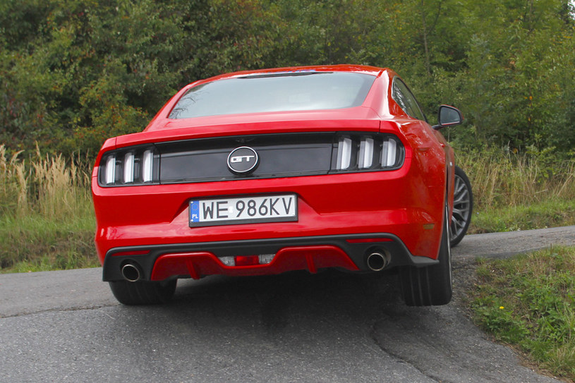 Ford Mustang /INTERIA.PL