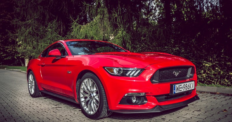 Ford Mustang /INTERIA.PL