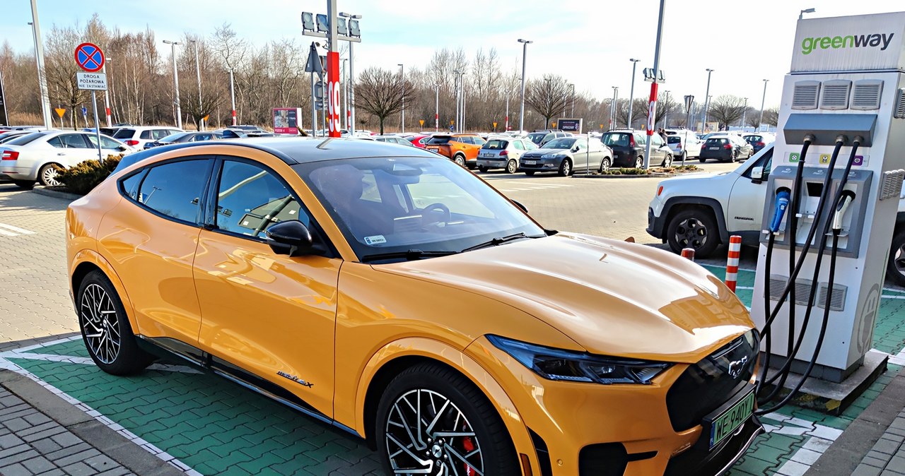 Ford przenosi produkcję z Polski. Michigan tańsze niż Wrocław /Krzysztof Mocek /INTERIA.PL