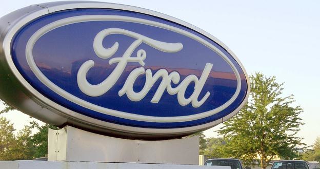 Ford wyszedł na prostą, akcjonariusze dostaną dywidendę /AFP