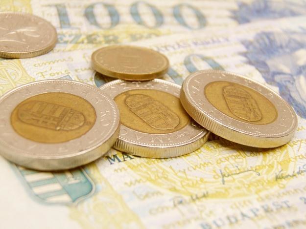 Forint nadal bije rekordy spadku kursu wobec euro /&copy; Panthermedia