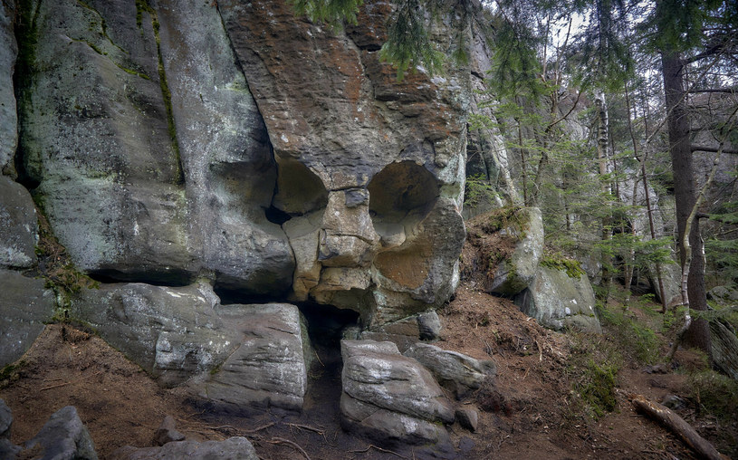 Formacje skalne w Górach Stołowych potrafią mamić wzrok /PRZEMYSLAW GRAF/REPORTER /Reporter