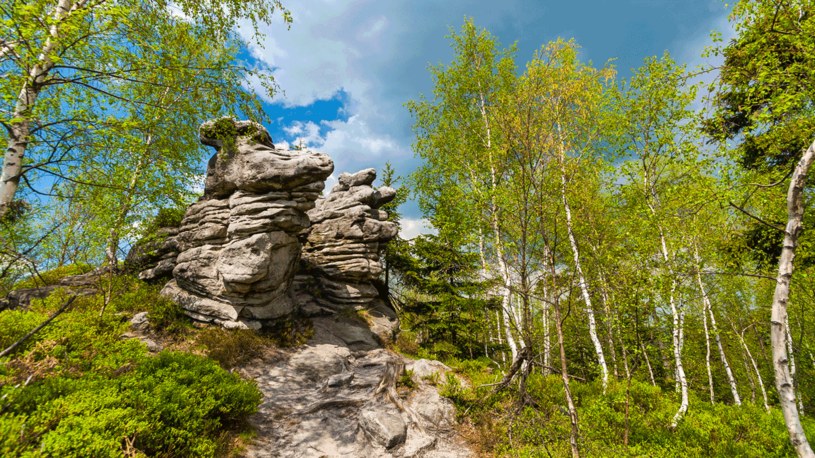 Formacje skalne w Górach Stołowych /123RF/PICSEL