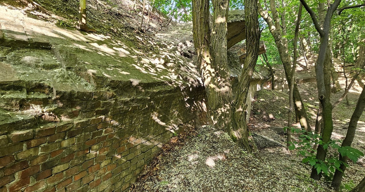 Fort Waldersee I na poznańskich Naramowicach