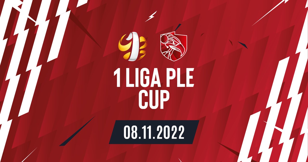 Fortuna 1 Liga zaczyna współpracę z Polską Ligą Esportową /materiały prasowe