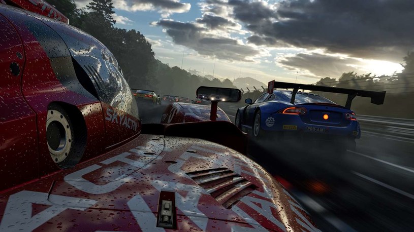 Forza Motorsport 7 /materiały prasowe