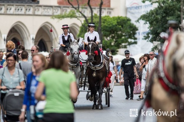 Fot. Bogusław Świerzowski / krakow.pl /Materiały prasowe