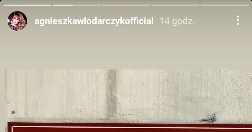 fot. Instagram/@agnieszkawlodarczykofficial /materiały prasowe