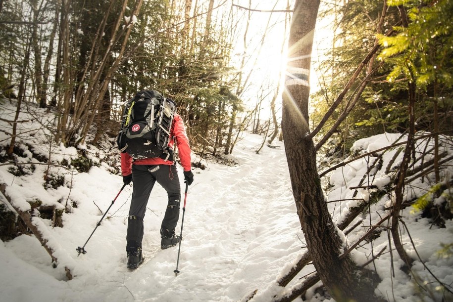 fot.: Joanna Kapinos /