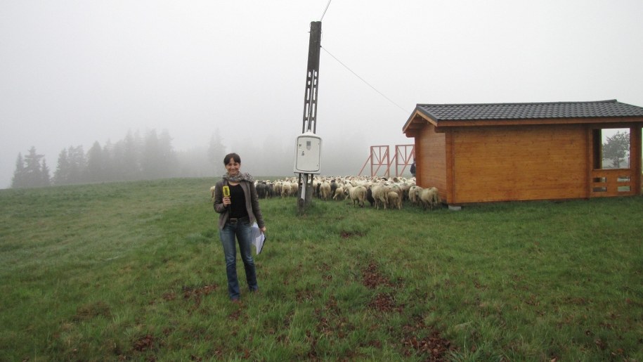 Fot. Józef Polewka /RMF FM