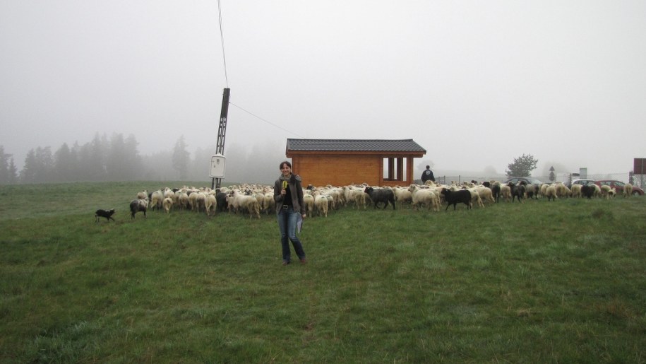 Fot. Józef Polewka /RMF FM