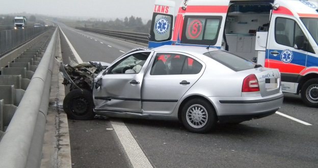 Fot: ratownictwo.opole.pl /Informacja prasowa