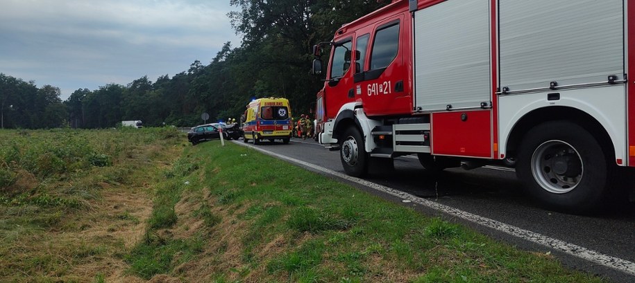 fot. Słuchacz Jakub /Słuchacz Jakub /Archiwum prywatne