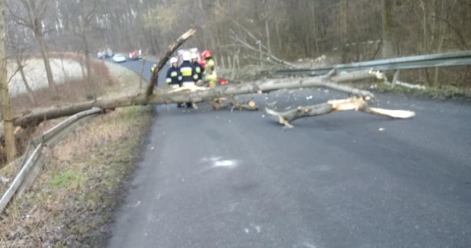 Fot: Straż pożarna /Informacja prasowa