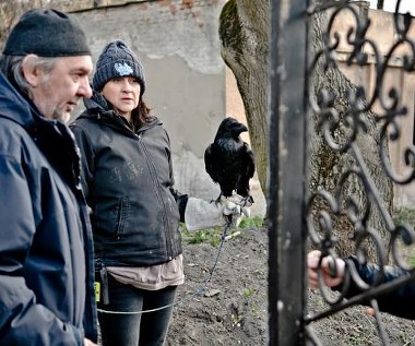 fot. Tomasz Urbanek - East News / REWERS STUDIO / NEXT FILM