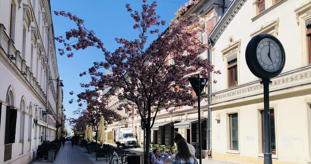 Fotogeniczna Łódź na wiosnę