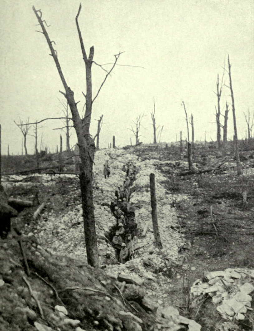 Fotografia pokazuje pole pod Verdun we Francji, gdzie doszło do jednej z największych bitew I-szej wojny światowej toczonej od 21 lutego do grudnia 1916 roku. /East News