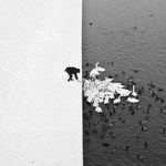 Fotografia Polaka podbija świat. Zobacz
