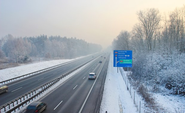 Fotopułapki są skuteczne. Sprawca kradzieży sam się zgłosił