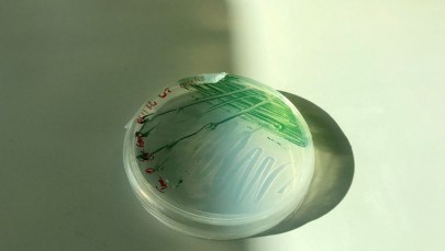 Fotosynteza starsza o... miliard lat