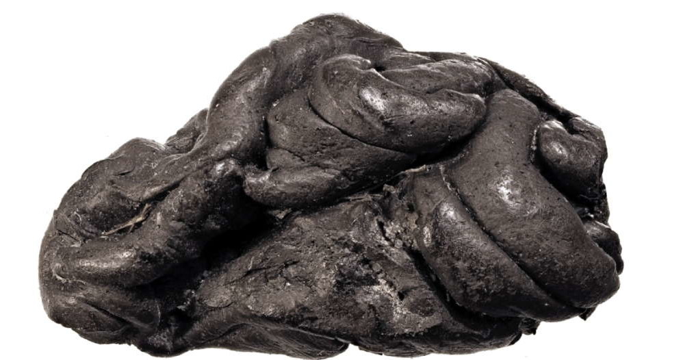 Fragment gumy do żucia sprzed 5700 lat /materiały prasowe