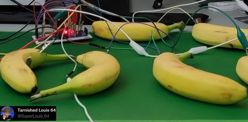Fragment kontrolera stworzonego z bananów /materiały prasowe