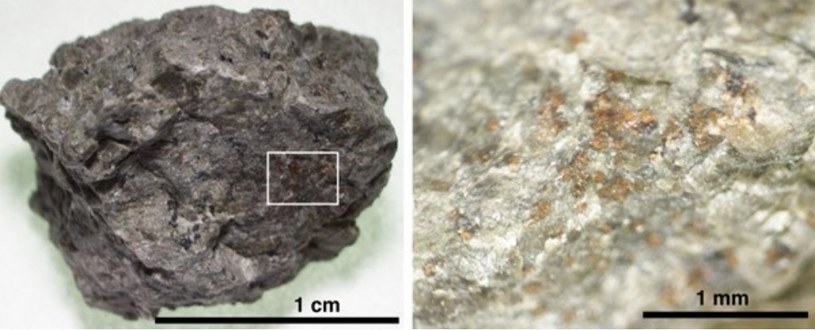 Fragment meteorytu ALH84001 /materiały prasowe