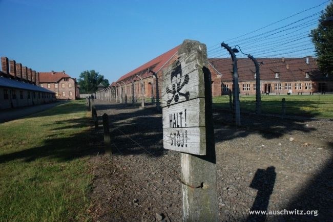 Fragment ogrodzenia obozowego. /Paweł Sawicki/www.auschwitz.org /