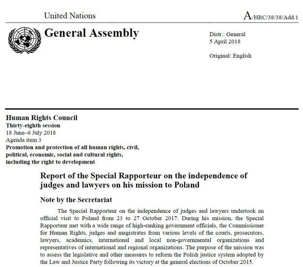 Fragment raportu specjalnego sprawozdawcy ONZ. /Zrzut ekranu