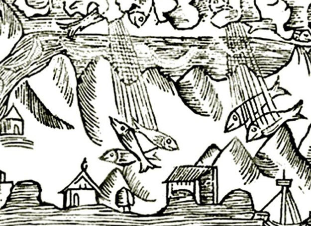 Fragment ryciny Olausa Magnusa z 1555 r. przedstawiająca deszcz ryb /MWMedia