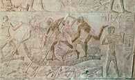 fragment ściany z mastaby Ptah-Hotep /Encyklopedia Internautica