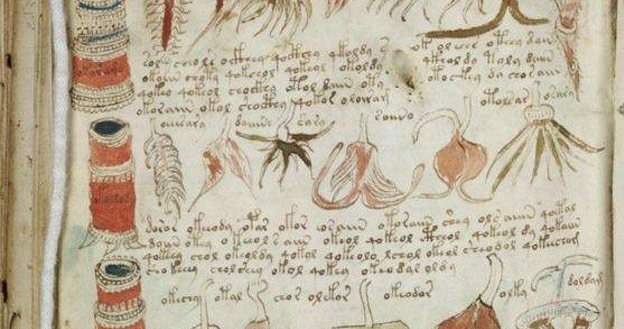 Fragment stronicy Manuskryptu Voynicha /MWMedia