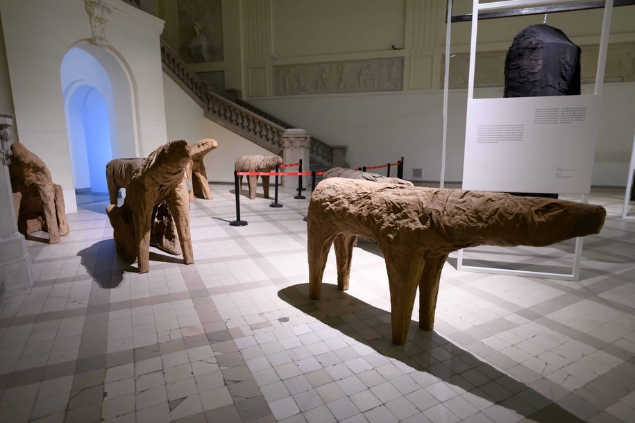 Fragment wystawy Magdaleny Abakanowicz pt. „Jesteśmy strukturami włóknistymi” /	Jakub Kaczmarczyk   /PAP